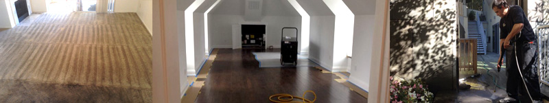 carpet cleaning service